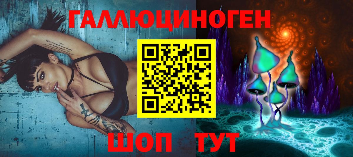 Галлюциногенные грибы мухоморы Трёхгорный